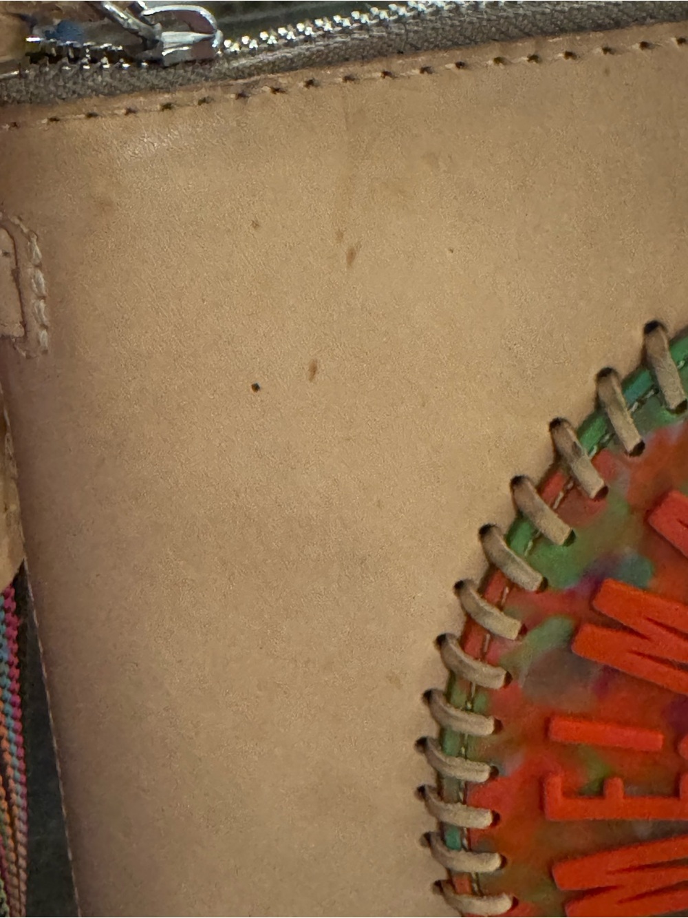 Consuela Beige Leather Crossbody with Multicolor Medallion - Picture 6 of 8